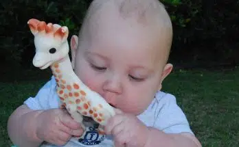 Pourquoi Sophie la girafe s'appelle-t-elle Sophie ?