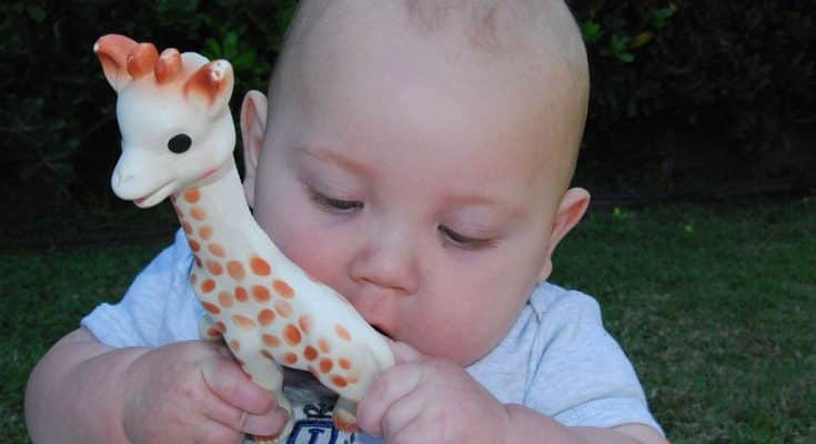 Pourquoi Sophie la girafe s'appelle-t-elle Sophie ?